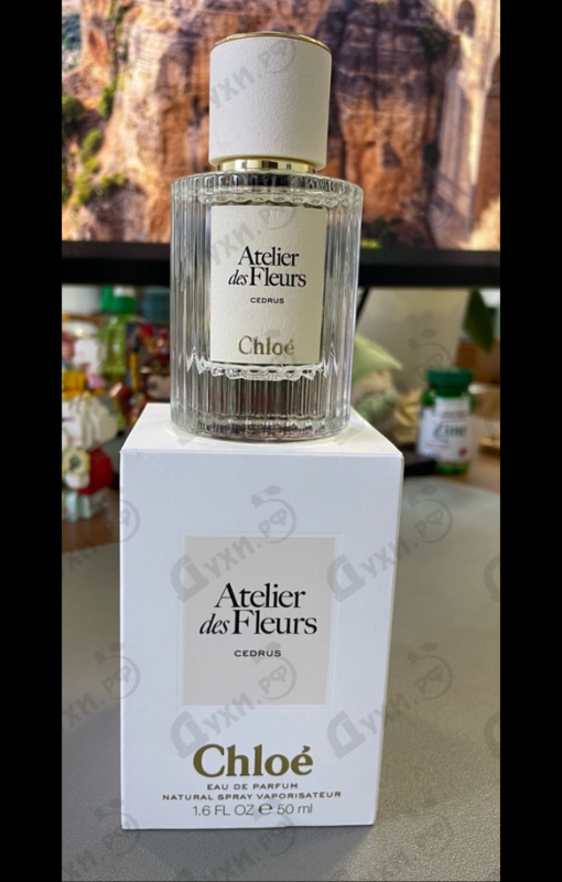 Парфюмерия Cedrus от Chloe