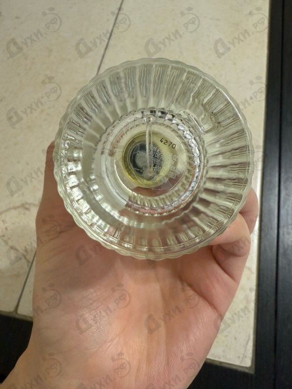 Духи Cedrus от Chloe