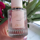 Отзывы Chloe Cedrus