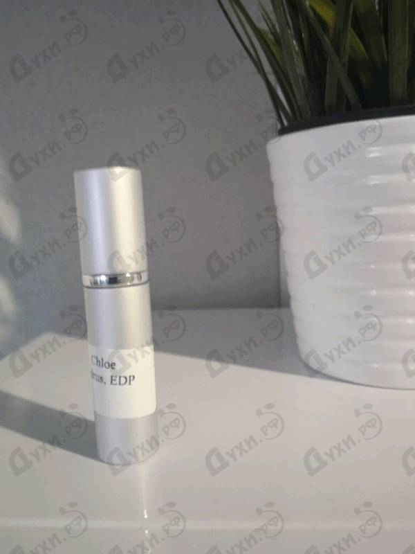 Купить Cedrus от Chloe