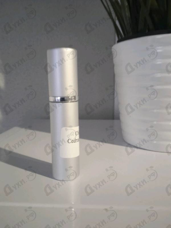 Купить Cedrus от Chloe