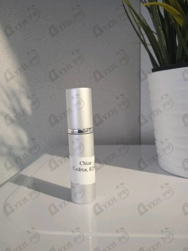 Парфюмерия Chloe Cedrus