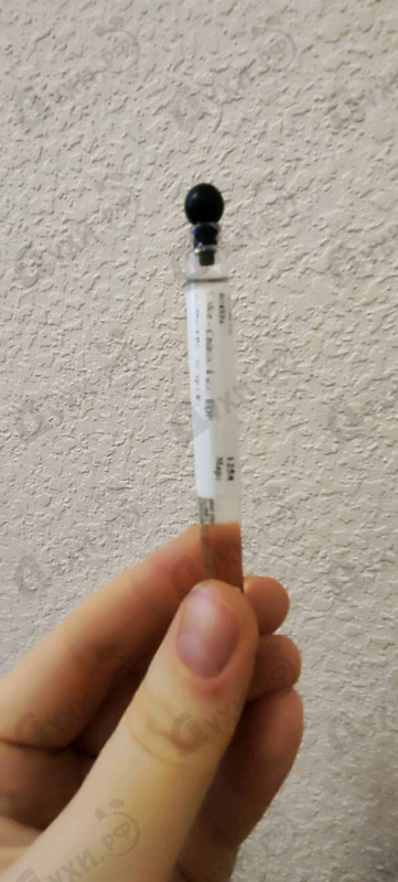 Отзывы Chloe Cedrus