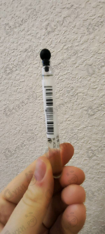 Парфюмерия Cedrus от Chloe