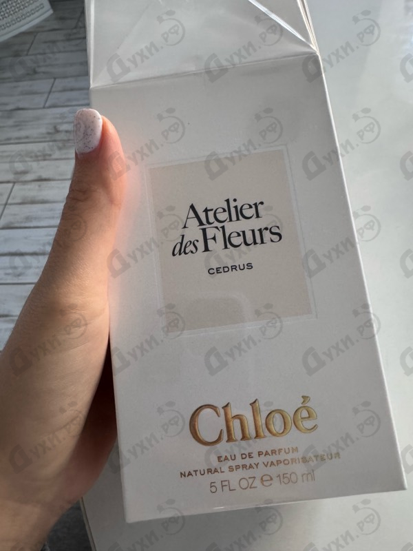 Купить Cedrus от Chloe