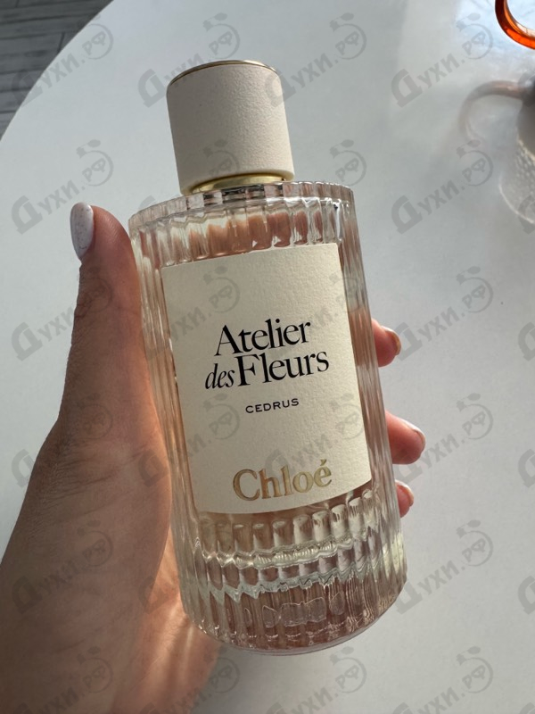Купить Cedrus от Chloe