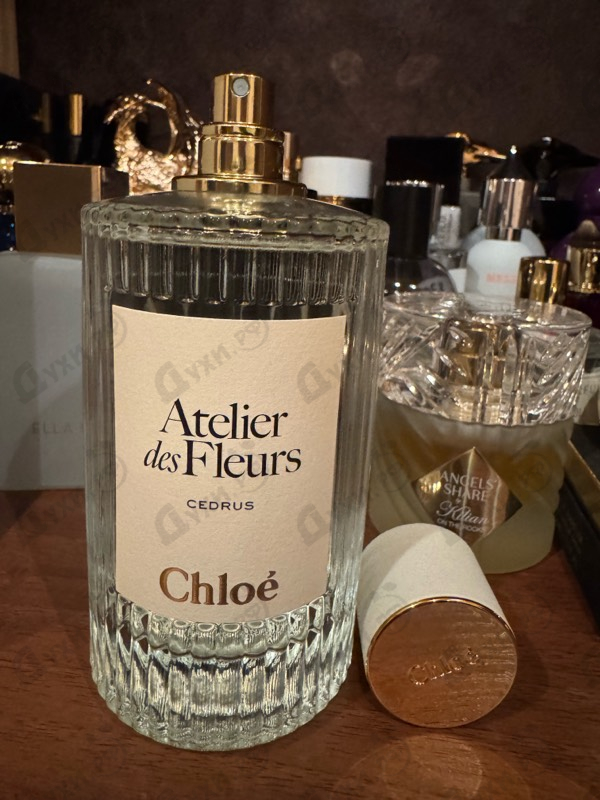 Духи Cedrus от Chloe