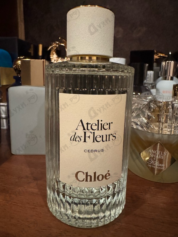 Парфюмерия Cedrus от Chloe