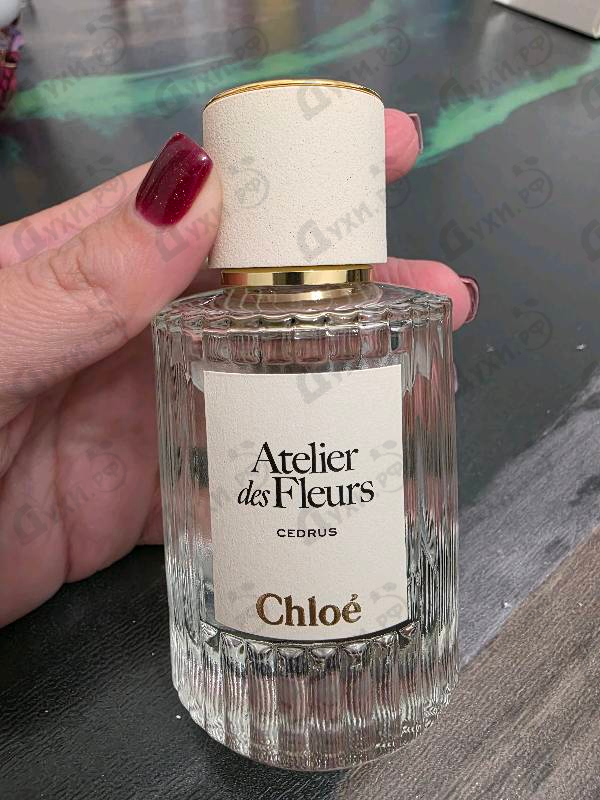 Парфюмерия Cedrus от Chloe