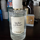 Отзывы Chloe Cedrus