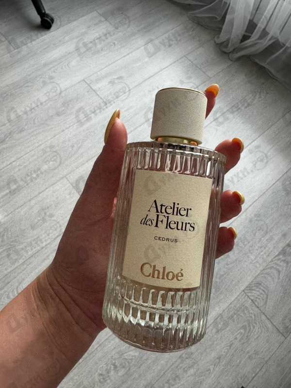 Духи Cedrus от Chloe