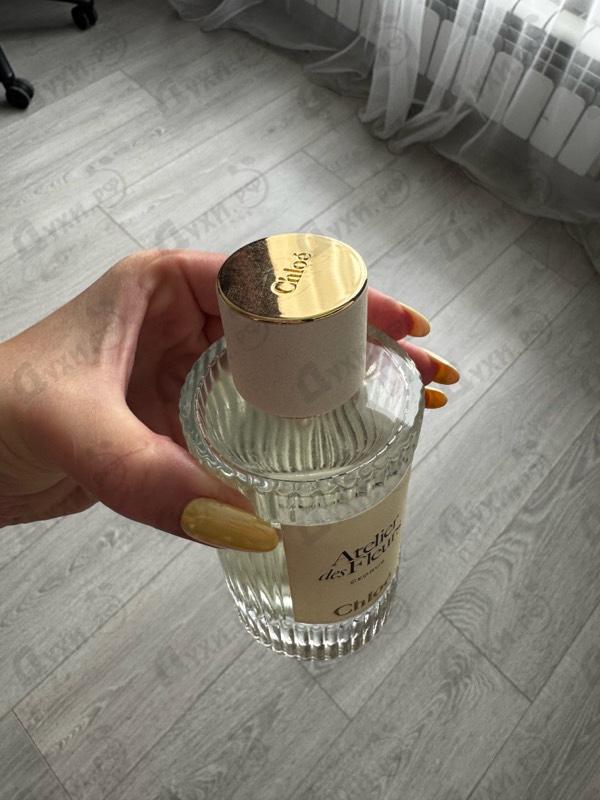 Купить Cedrus от Chloe