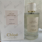 Отзывы Chloe Cedrus