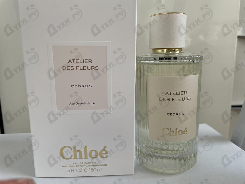 Купить Cedrus от Chloe