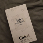 Отзыв Chloe Cedrus
