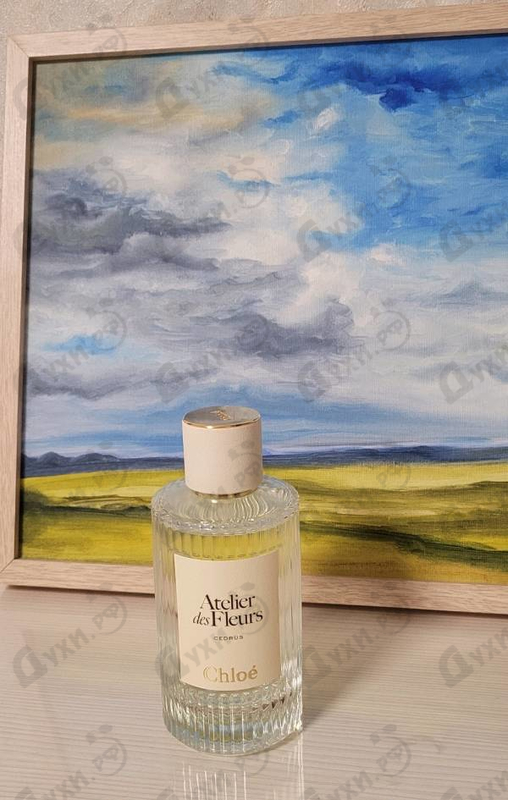 Духи Cedrus от Chloe