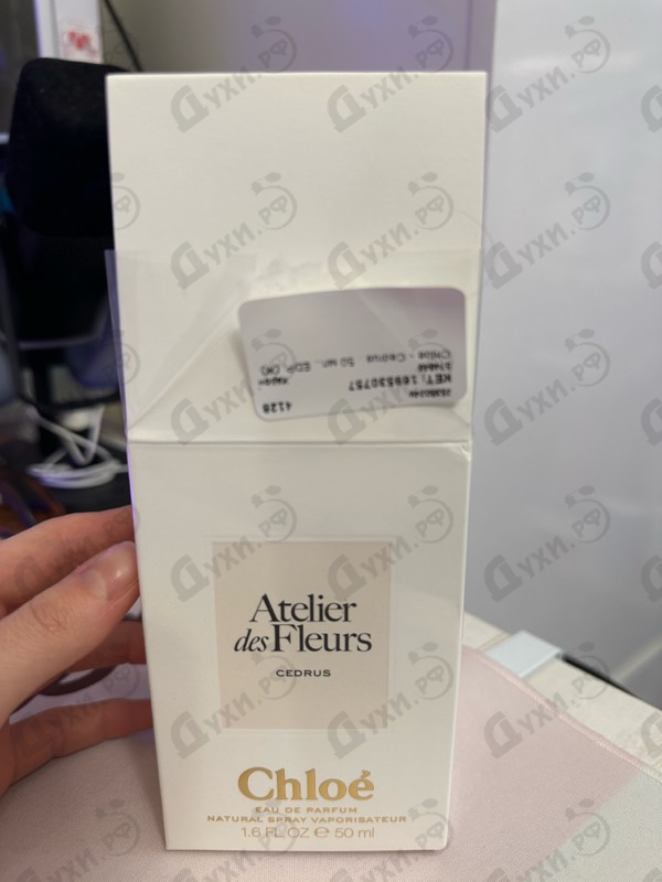 Купить Chloe Cedrus