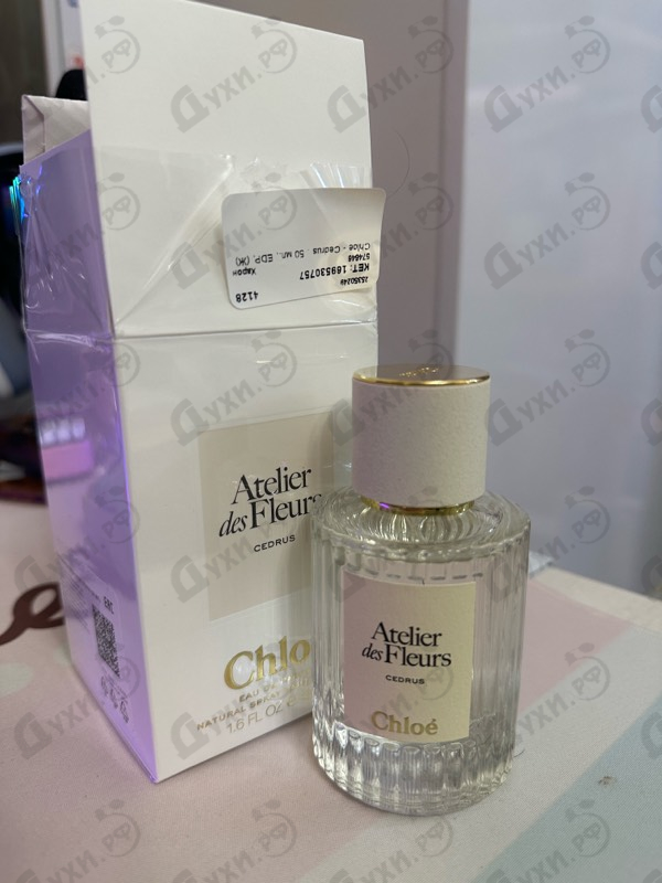 Отзывы Chloe Cedrus
