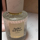 Отзывы Chloe Cedrus