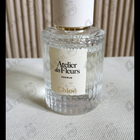 Отзывы Chloe Cedrus
