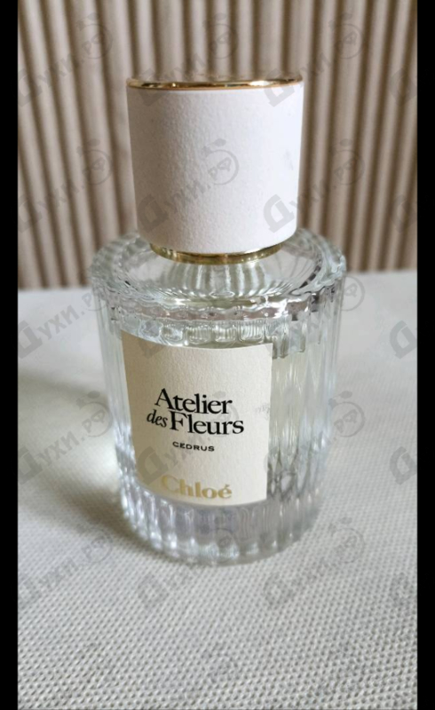 Парфюмерия Cedrus от Chloe
