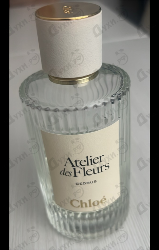Парфюмерия Cedrus от Chloe