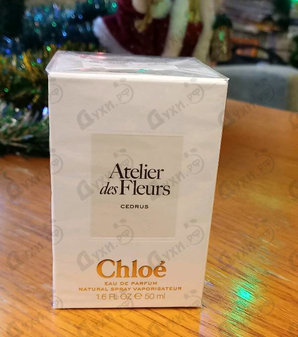 Купить Chloe Cedrus