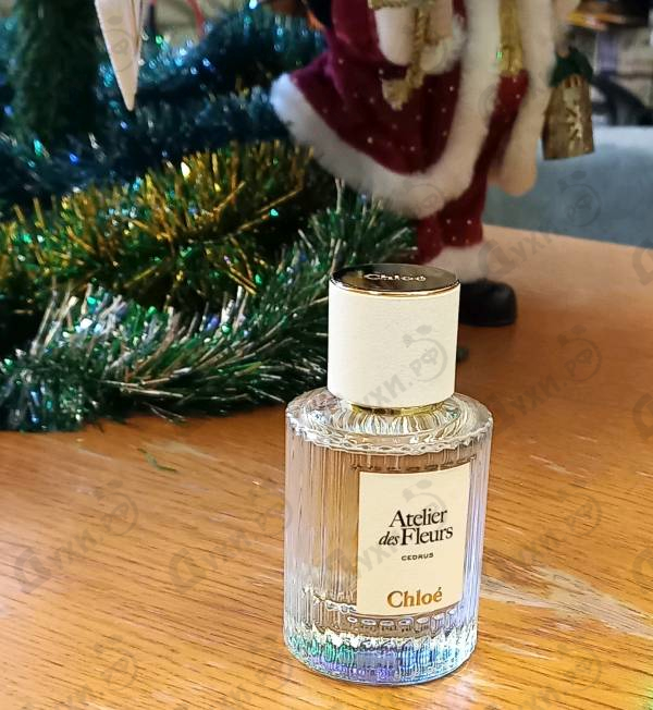 Парфюмерия Cedrus от Chloe