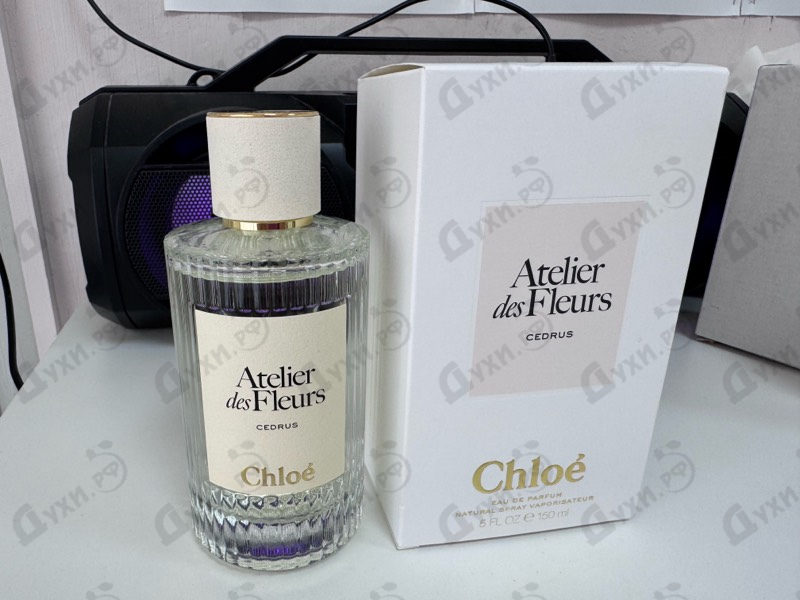 Парфюмерия Chloe Cedrus