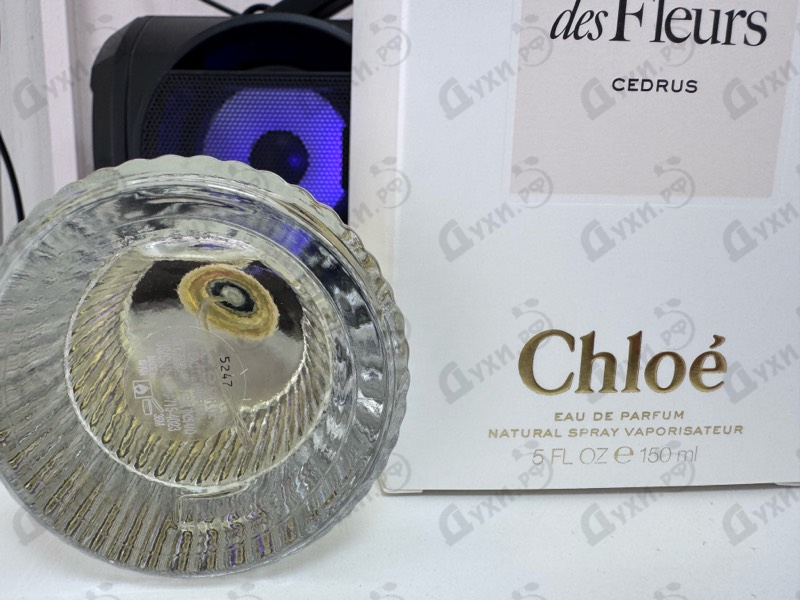 Отзывы Chloe Cedrus