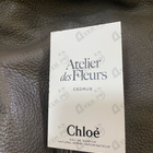 Отзыв Chloe Cedrus