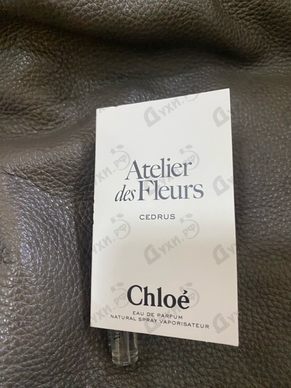 Парфюмерия Cedrus от Chloe