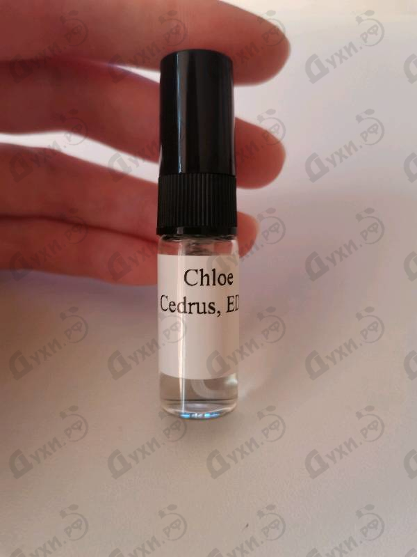 Парфюмерия Cedrus от Chloe
