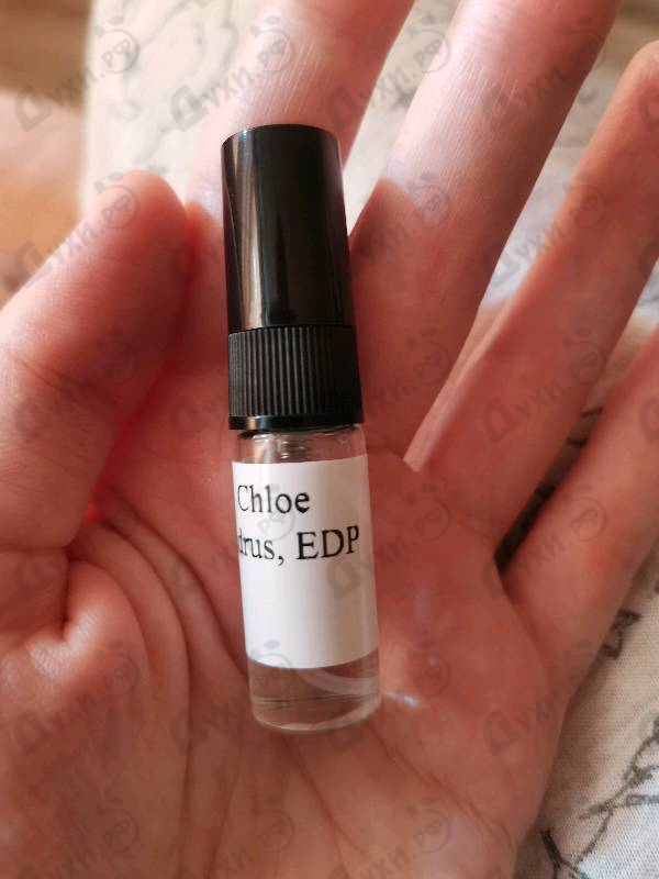 Парфюмерия Cedrus от Chloe