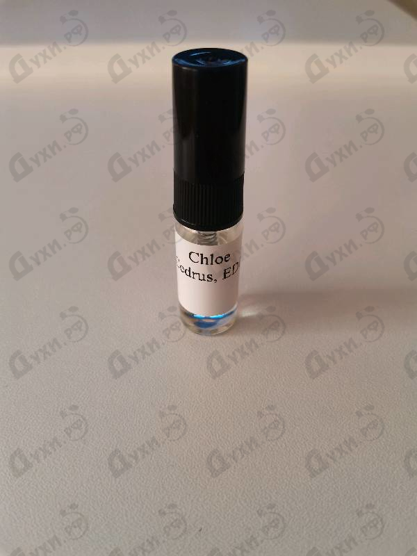 Купить Cedrus от Chloe