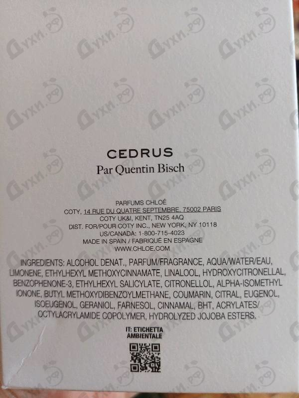 Отзыв Chloe Cedrus