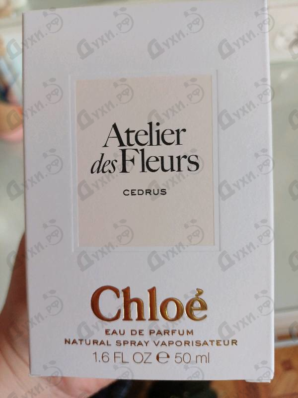 Отзывы Chloe Cedrus
