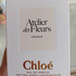 Отзывы Chloe Cedrus