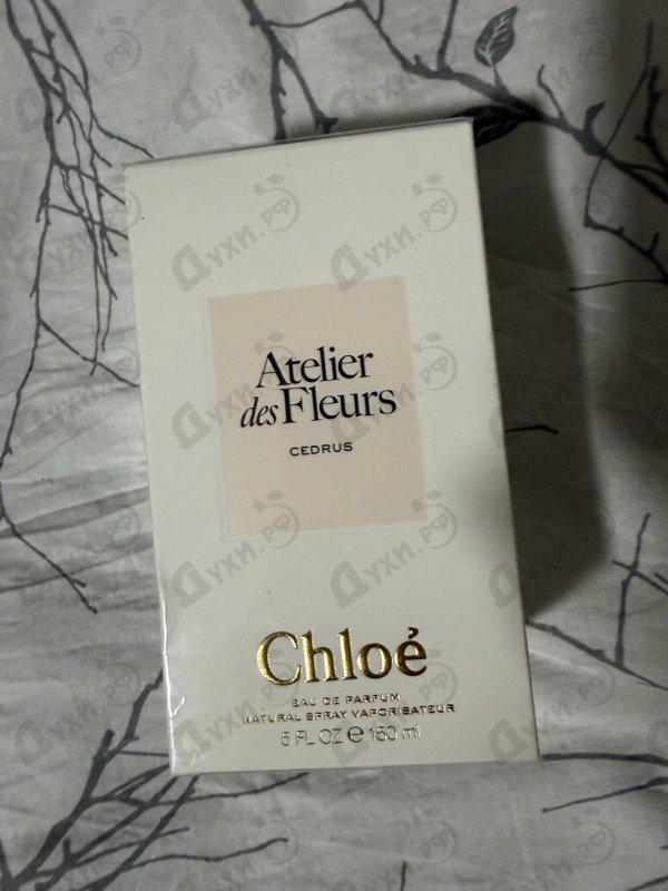 Отзывы Chloe Cedrus