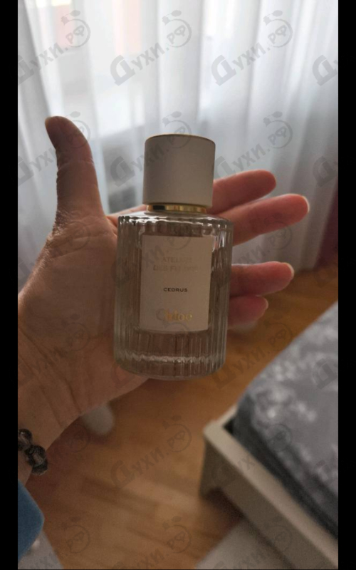 Духи Cedrus от Chloe