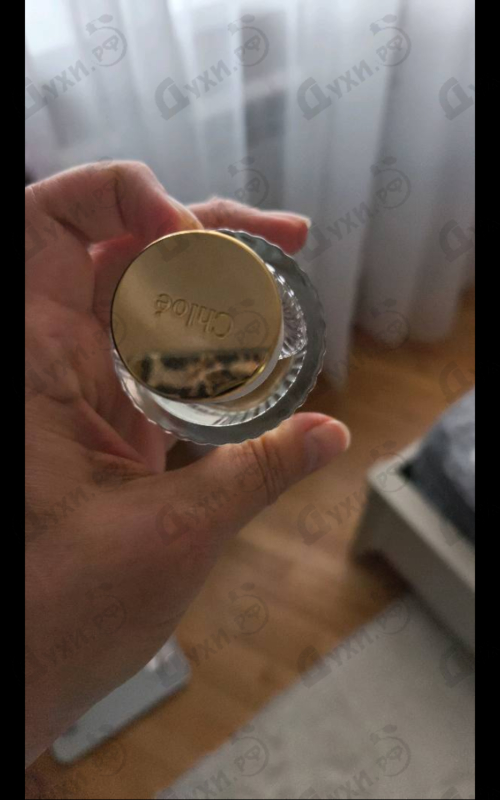 Парфюмерия Cedrus от Chloe