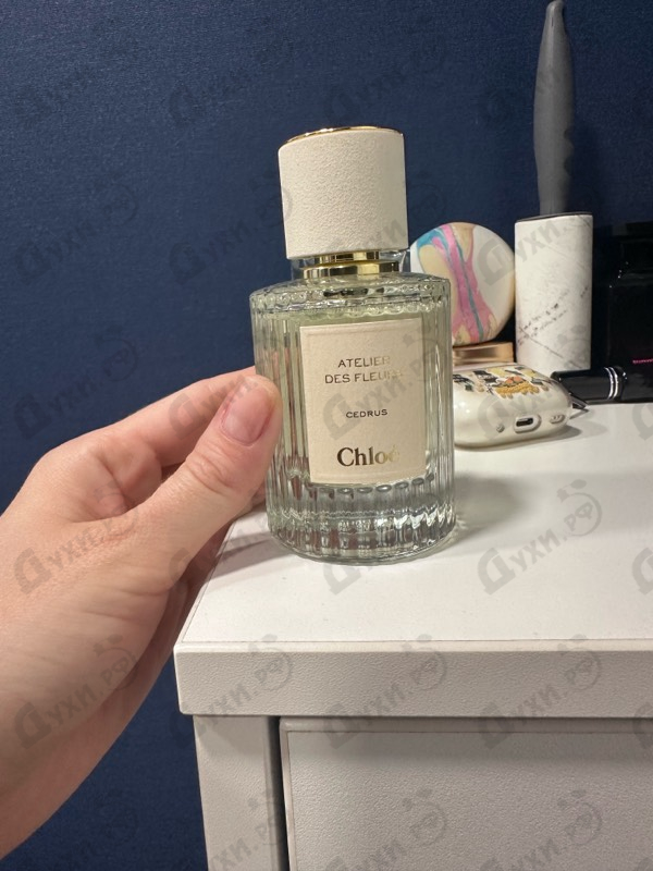 Купить Cedrus от Chloe