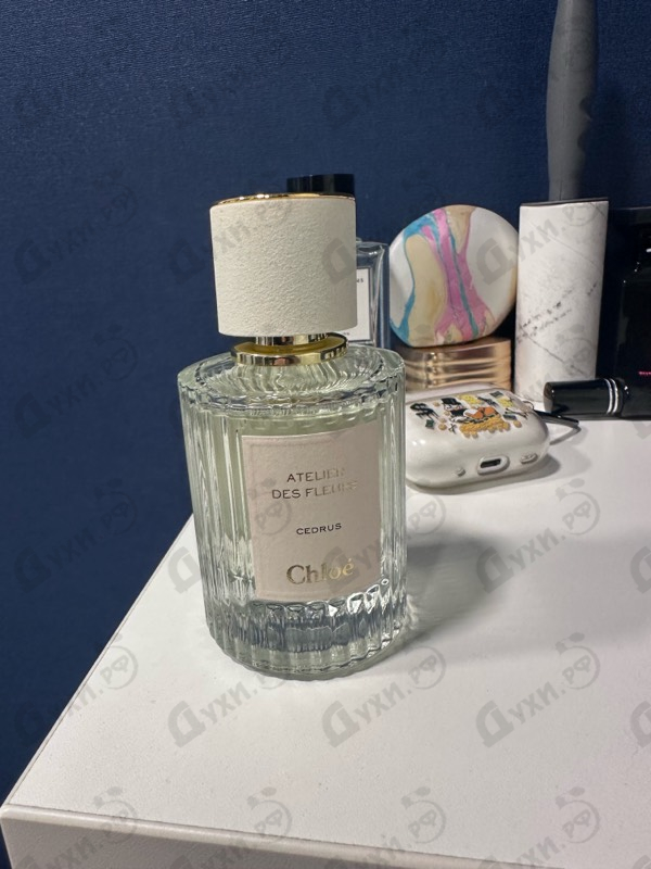 Парфюмерия Cedrus от Chloe