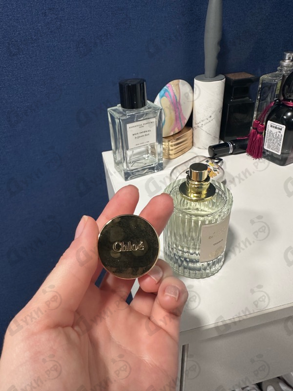 Купить Cedrus от Chloe