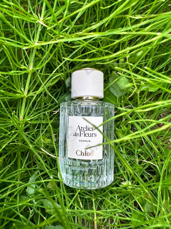 Парфюмерия Cedrus от Chloe