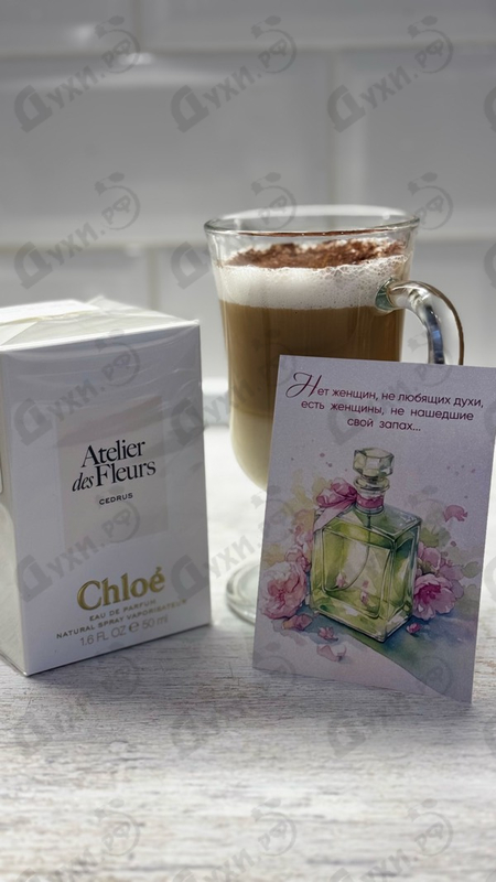 Купить Cedrus от Chloe