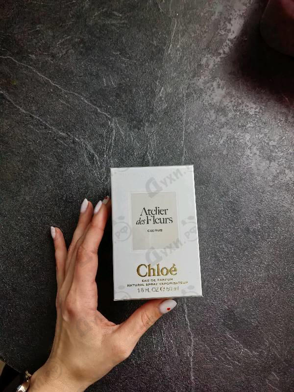 Отзывы Chloe Cedrus