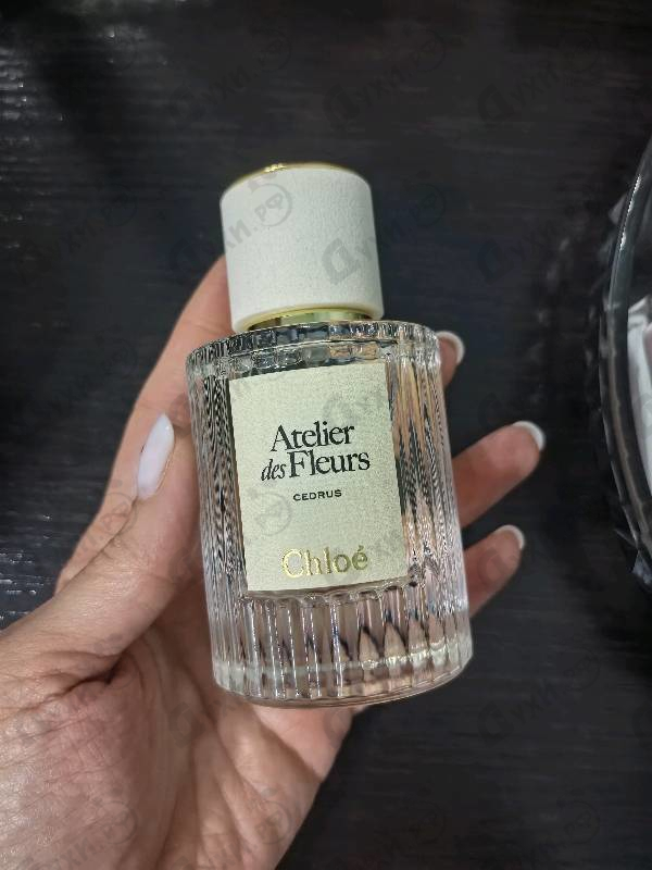 Духи Cedrus от Chloe