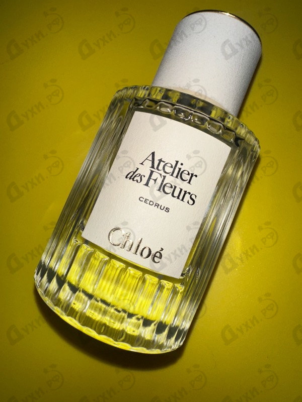 Парфюмерия Cedrus от Chloe