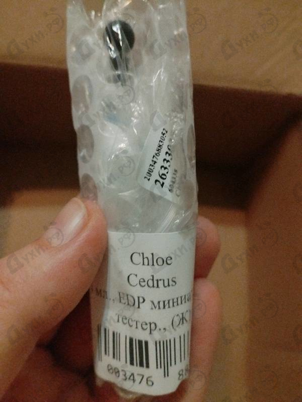 Купить Cedrus от Chloe